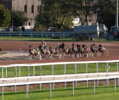 Régis GUEGUEN - Réphoto